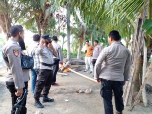Jajaran Polres Lamsel Bersama Polsek Penengahan Grebek Judi Sabung Ayam dan Koprok