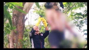 Pekerja Tambang Batu Gunung Tamang Temukan Mayat Gantung Diri