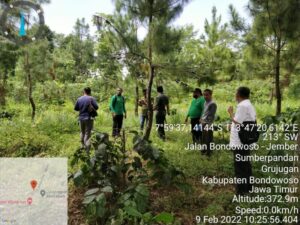 ADM Perhutani Bondowoso Bersama Tim Monev Difre Jatim Monitoring Bibit