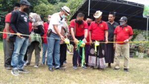 Memeriahkan HUT Kolatmar Ke 45, Puslatpurmar 5 Baluran Gelar Pameran Dan Kontes Bonsai