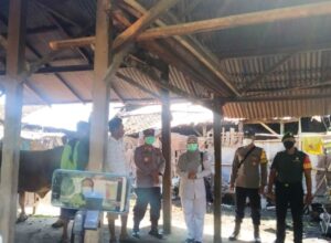 Kadis Peternakan dan Perikanan Situbondo : Hasil Pemeriksaan Dokter Hewan, Kambing Mati Mendadak di Kilensari Panarukan Bukan PMK Tapi Karena Salah Memberi Pakan