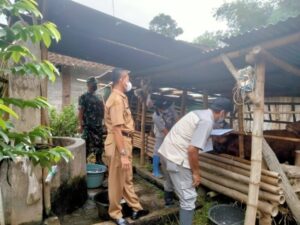 Babinsa Koramil 0825/04 Genteng Gelar Monitoring Hewan Ternak