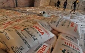 Warga Taman Kec.Grujugan Menjerit, Diduga Hampir Setahun Sudah Bayar Uang Tetapi Pupuk Tidak Kunjung Datang