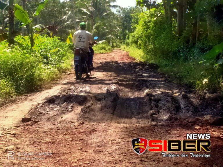 Musim Penghujan Jalan di Desa Karangsari Langganan Becek