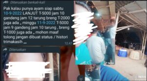 Unggahan Konten Video Diduga Kalangan Judi Sabung Ayam Viral,. Ditengah Intruksi Berantas 303