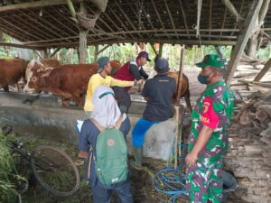 Beri Perlindungan Hewan Ternak Melalui Vaksinasi