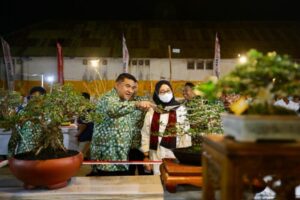 600 Bonsai Total Nilai 25 Milyar Dipamerkan di Banyuwangi