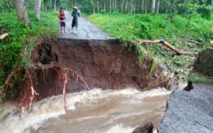 Akibat Curah Hujan Tinggi, Jembatan Milik PTPN XII Afdeling Kalirejo Terseret Banjir