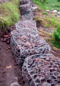 Kondisi Jalan PTPN XII Kebun Kalitelepak Rusak Parah Hingga Berlobang