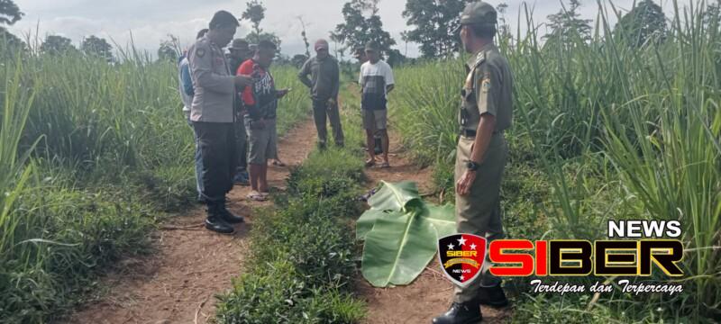 Warga Sukosari di Gegerkan Temuan Mayat Seorang Kakek