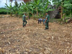 Pemanfaatan Lahan TNI AD Dengan Program Ketahan Pangan Berupa Tanaman Pertanian