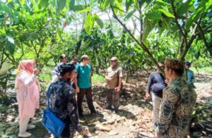 Kunjungan Forkopimda Kabupaten Berau Kaltim Disambut Baik Oleh PTPN XII Kebun Kendenglembu di Doesoen Kakao Glenmore