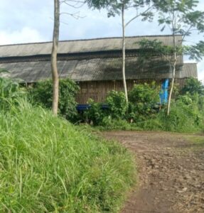 Kandang Ayam Di Dusun Tengginah Desa Sumber Anyar Maesan Dikeluhkan Warga