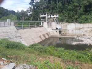 Tanpa Fishway, Bendung PLTMH PT Dempo Ancam Kelestarian Ikan Endemik Sungai Batang Pelangai Gadang