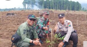 Babinsa Kelurahan Gombengsari Bersama 3 pilar Laksanakan Giat Penghijauan