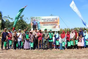 Kodim 0421/Ls, Panen Raya Jagung Wujud Dukung Program Ketahanan Pangan Nasional