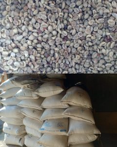 Diduga Gelapkan Kopi Dua Ton Lebih Senilai 66 Juta Rupiah Warga Jampit,Kec Sempol Bondowoso Akan Dilaporkan Ke Polisi