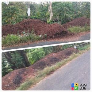 Warga Desa Sukorejo Bondowoso Keluhkan Pengusaha Kopi Buang Kulit Kopi Sembarangan