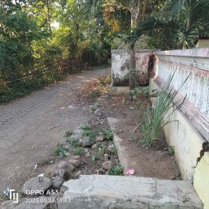 Miris,Warga Dusun Krajan 1 Desa Pelalangan Bondowoso Kewalahan Lewati Jalan Disaat Musim Hujan