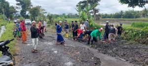 Al Fatih Indonesia Perbaikan Jalan Lombok Kulon dengan Biaya Swadaya