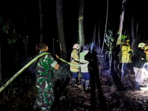 Kebakaran Hutan Di Kawasan Petak 18B RPH Curahdami Dekat Batalyon Raider 514/SY Bondowoso