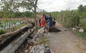 Para Petani Dusun Mojoroto Sangat Senang Dengan Adanya Pekerjaan Proyek Jaringaan Irigasi Tersiar Dinas Pertanian