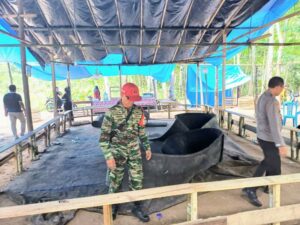 Grebek Judi Sabung Ayam di Tanjungsari, Satu Tersangka Diamankan