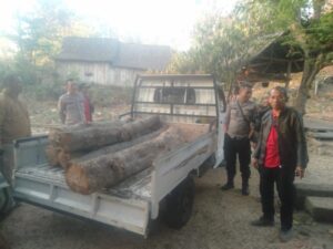 Perhutani RPH Bayeman Dengan Polsek Arjasa Berhasil Mengamankan Kendaraan Roda Empat Dan Kayu Jati Diduga Hasil Curian