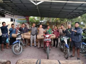 Resmob Polres Bondowoso Dan Polsek Cermee Gandeng BKPH Prajekan Tangkap Pelaku Ilegalloging Berikut Barang Bukti Yang Diamankan