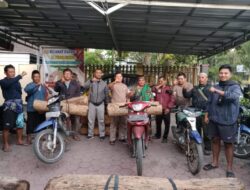 Polres Bondowoso beserta Polsek dan perhutani berhasil amankan pelaku tindak pidana ilegal logging