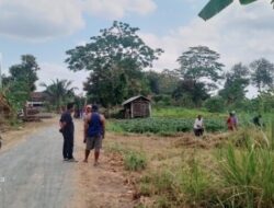 Bentuk Kepedulian Terhadap Masyarakat Tidak Mampu Yang Dilakukan Oleh Pemdes Gesikan