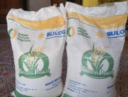 Miris,Bantuan Beras Didesa Botolinggo Bondowoso Empat Kali Berturut turut Tidak Diberikan Oleh Pemdes Setempat,Berikut Komentar Kades