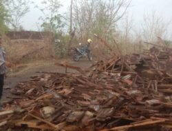 Hujan Deras Disertai Angin Puting Beliung Menerjang 4 Desa Diwilayah Cermee, Berikut Keterangan Danramil