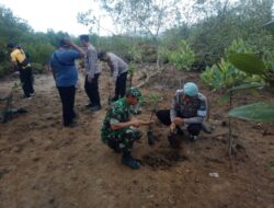 Sinergitas TNI Polri Dalam Giat Tanam Pohon Mangrove di Pantai Pancer Banyuwangi