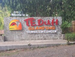 Virall,,,Wisata Teduh Glamping Di Desa Sumber Wringin Kabupaten Bondowoso, Suguhkan Pesona Alam Sejuk Nan Asri