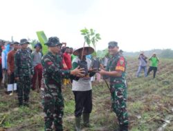 Peringati HUT Ke-78 Kodam II Sriwijaya Kodim 0421/Ls, Gelar Karya Bakti TNI Penanaman Pohon