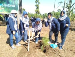 Rimbawan KPH Bondowoso Ikut Peran Serta Dalam Acara Perempuan Menanam bersama Istri Pesanggem BKPH Wonosari