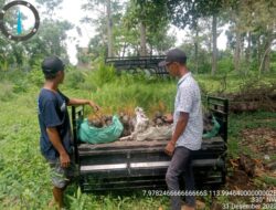 KPH Bondowoso, Melalui KRPH Pakisan, Haji Asbari Ketua LMDH Sumbermas, Siap Bersinergi Dengan Perhutani Mengawal Keberhasilan Tanaman Pinus