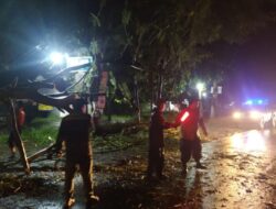 Gerak Cepat Babinsa 0822/15 Klabang Evaluasi Pohon Tumbang
