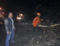 Polsek Prajekan Gerak Cepat Tangani Pohon Tumbang yang Menutupi Akses Jalan
