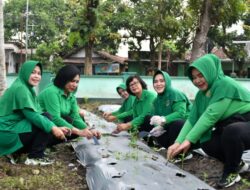 Persit Kodim Bondowoso Galakkan Tanam Cabai