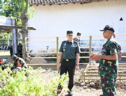 Dandim 0822 Bondowoso Tinjau Pembibitan di Makoramil 0822/02 Curahdami