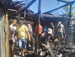 Si Jago Merah Kembali Beraksi Di Desa Suling Kulon Cermee Bondowoso, Seekor Sapi Terbakar