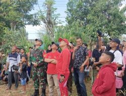 Meriahkan HUT RI Ke 79, Sertu Gatot Bantu Pengamanan Lomba Panjat Pinang di Desa Lanas