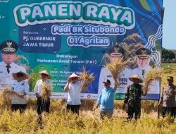 Padi BK 01 dan 02 Agritan Situbondo Jadi Kelas Utama Di Lumbung Pangan Nasional