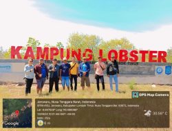 Haji Lilur Sang Raja Lobster : Sukses Capai Triliunan Di Vietnam Budidaya Udang Barong