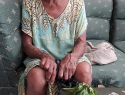 Miris,Gegara Mengambil 2 Lembar Daun Pepaya Untuk Makan, Warga Desa Besuk Klabang  Bondowoso Diduga Dianiaya Tetangga