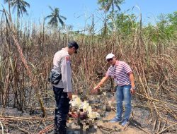 Geger,,!! Warga Desa Lempeni Lumajang Ditemukan Meninggal di Lahan Tebu