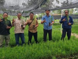 (KASI) Bidang Pembibitan dan Tanaman Cek Langsung Proses Pelaksanaan Proses Vegetatif di BKPH Sukosari Bondowoso