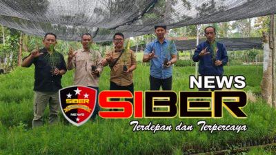 (KASI) Bidang Pembibitan dan Tanaman Cek Langsung Proses Pelaksanaan Proses Vegetatif di BKPH Sukosari Bondowoso